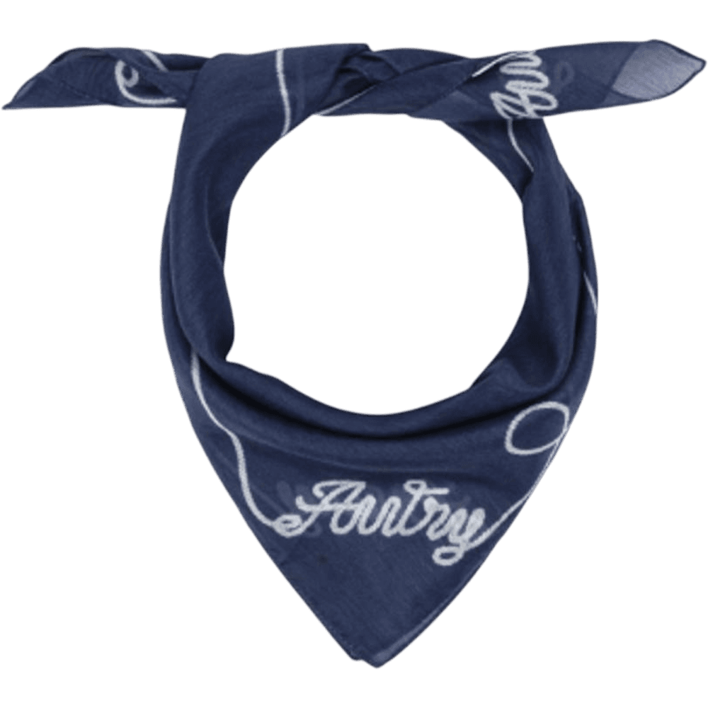 Autry Cotton & Silk Scarf