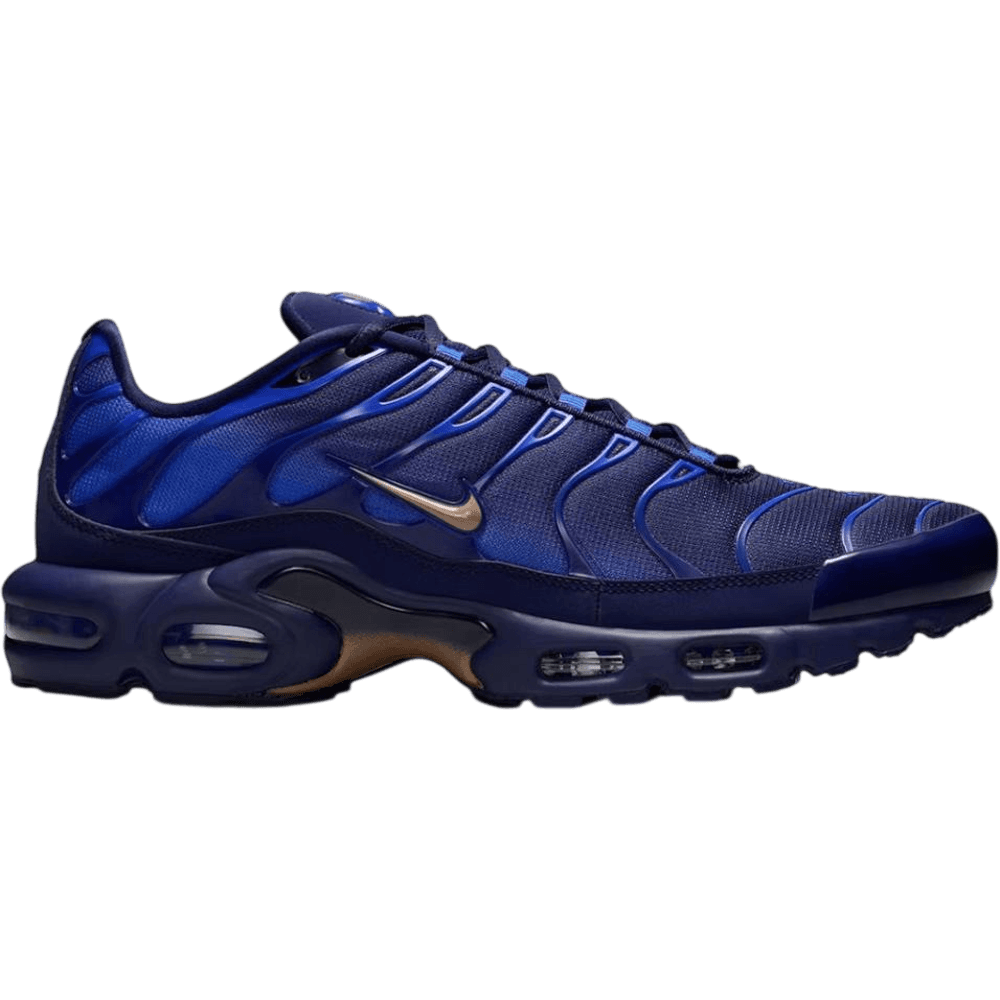 Nike Air Max Plus French Football Federation